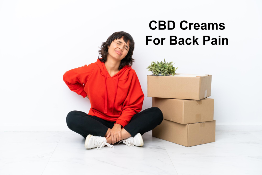 CBD Creams for Back Pain