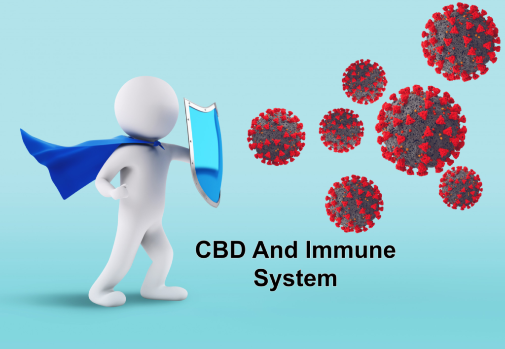 CBD and immune system