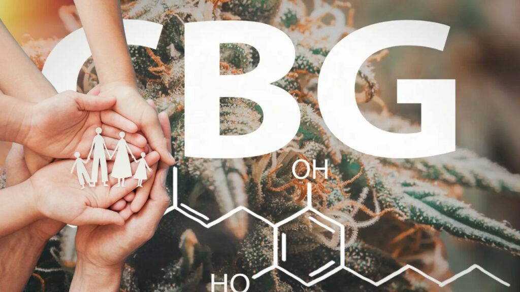 Cannabigerol for digestive health